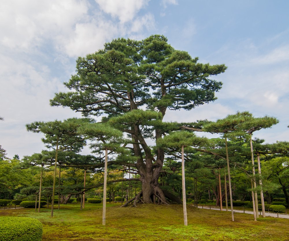 🛕 제56번 순례지 태산사(타이산지) 시코쿠 영지 이미지 7